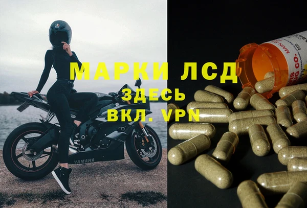ешки Касимов