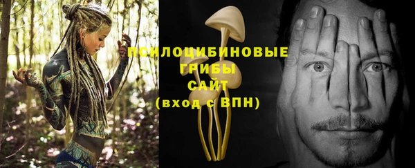 ешки Касимов