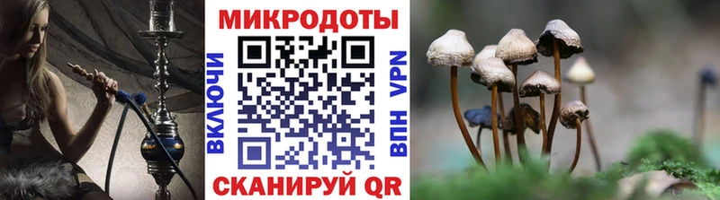 Псилоцибиновые грибы GOLDEN TEACHER  купить наркотики сайты  Арзамас 