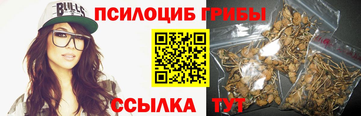 Псилоцибиновые грибы GOLDEN TEACHER  Вход с VPN  Арзамас  Псилоцибиновые грибы прущие грибы 